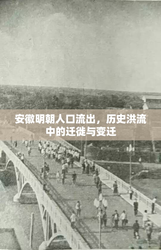 安徽明朝人口流出，歷史洪流中的遷徙與變遷