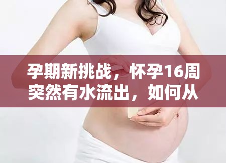 孕期新挑戰(zhàn)，懷孕16周突然有水流出，如何從容應(yīng)對？