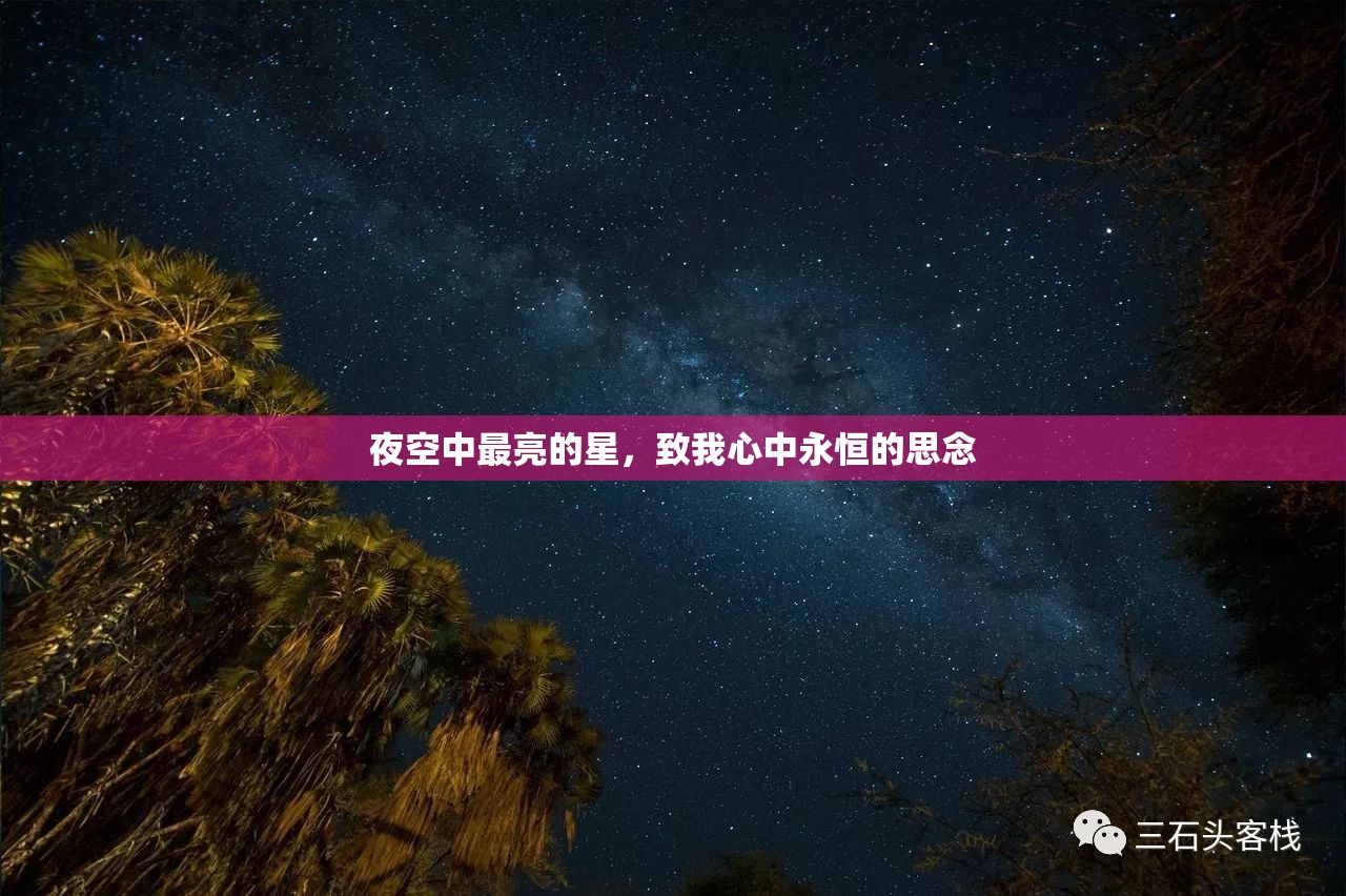 夜空中最亮的星，致我心中永恒的思念