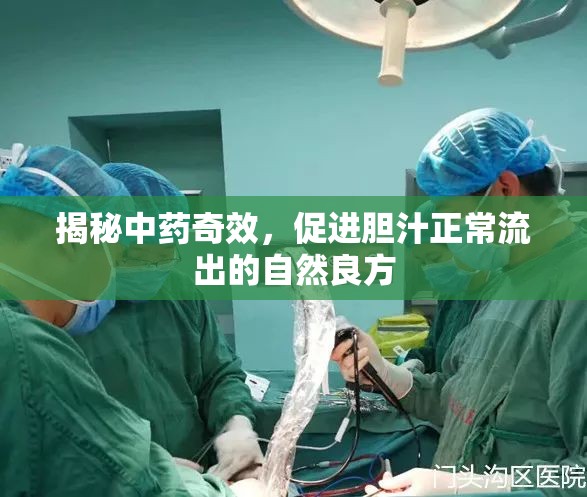 揭秘中藥奇效，促進膽汁正常流出的自然良方