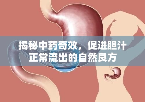 揭秘中藥奇效，促進膽汁正常流出的自然良方