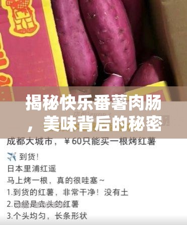 揭秘快樂番薯肉腸，美味背后的秘密與消費者權(quán)益的深思