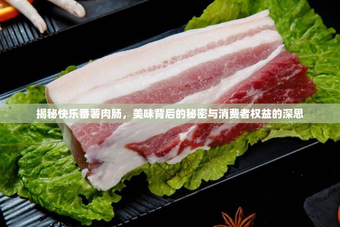 揭秘快樂番薯肉腸，美味背后的秘密與消費者權(quán)益的深思