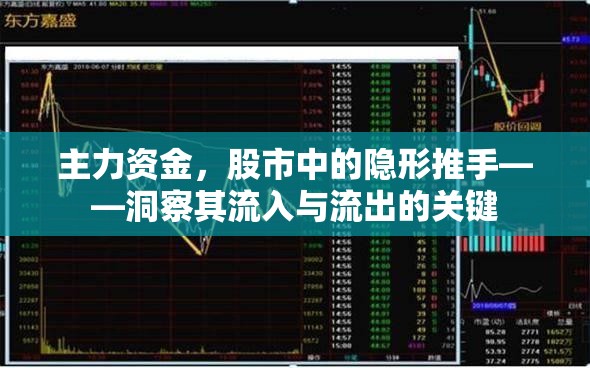 主力資金，股市中的隱形推手——洞察其流入與流出的關(guān)鍵