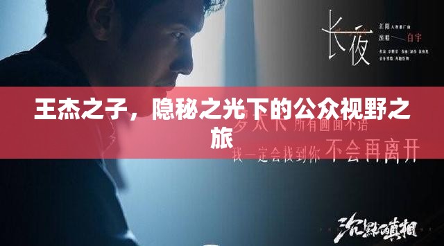 王杰之子，隱秘之光下的公眾視野之旅