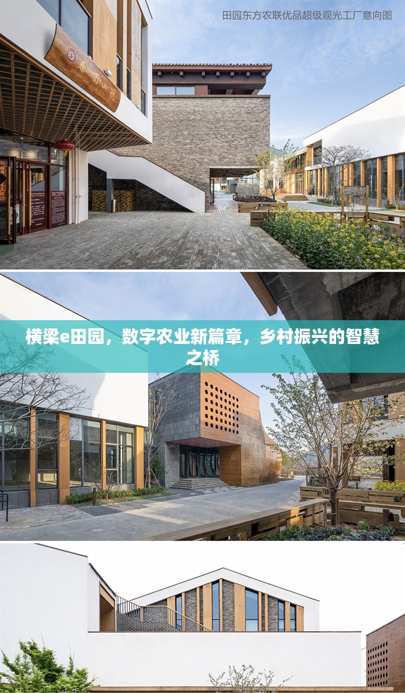 橫梁e田園，數字農業(yè)新篇章，鄉(xiāng)村振興的智慧之橋