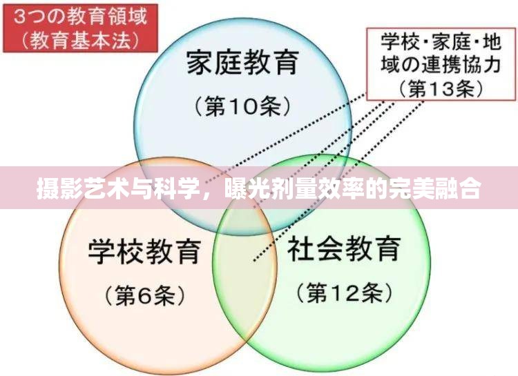 攝影藝術(shù)與科學(xué)，曝光劑量效率的完美融合