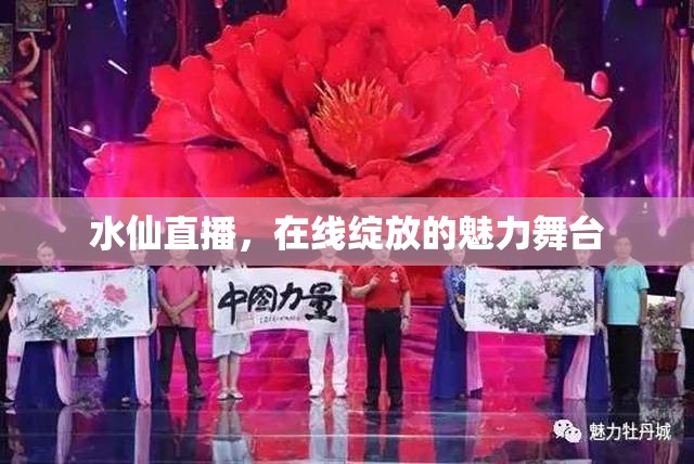水仙直播，在線綻放的魅力舞臺