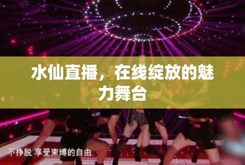 水仙直播，在線綻放的魅力舞臺