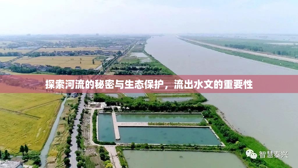 探索河流的秘密與生態(tài)保護，流出水文的重要性