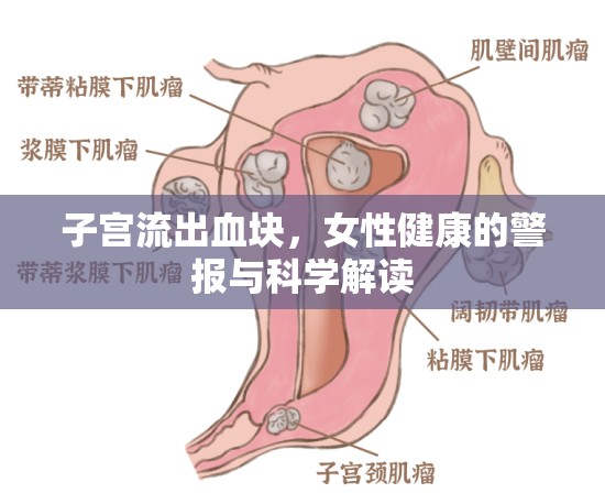子宮流出血塊，女性健康的警報(bào)與科學(xué)解讀