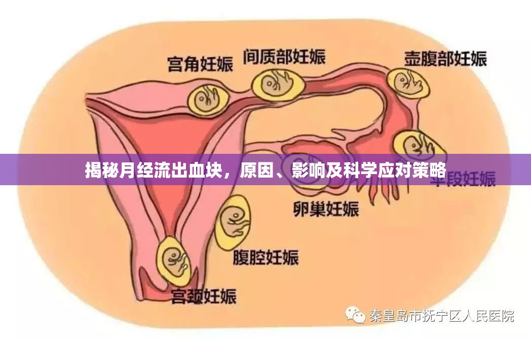 揭秘月經(jīng)流出血塊，原因、影響及科學(xué)應(yīng)對(duì)策略