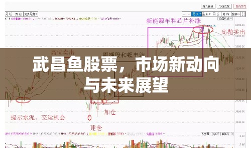武昌魚股票，市場新動向與未來展望