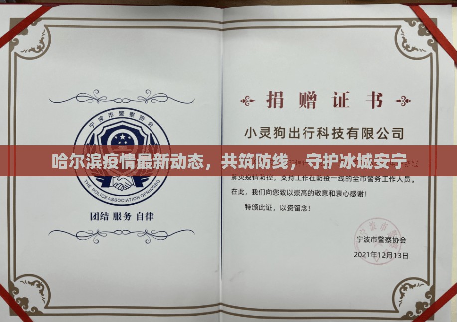 哈爾濱疫情最新動態(tài)，共筑防線，守護冰城安寧