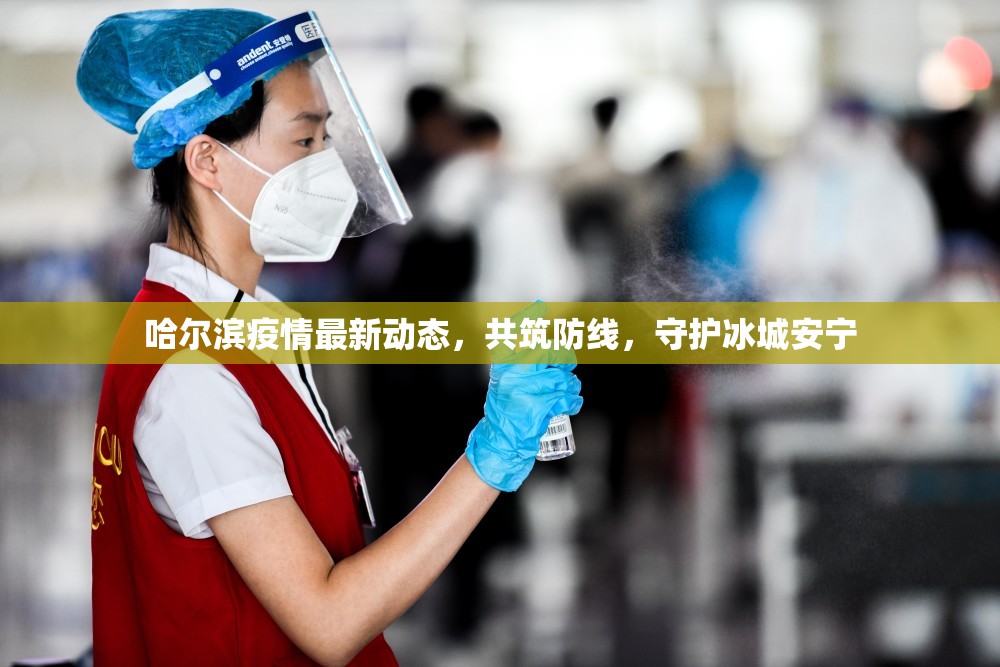 哈爾濱疫情最新動態(tài)，共筑防線，守護冰城安寧