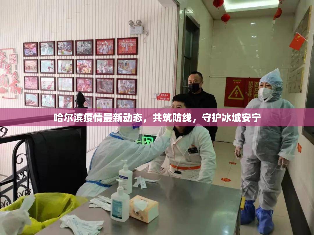 哈爾濱疫情最新動態(tài)，共筑防線，守護冰城安寧