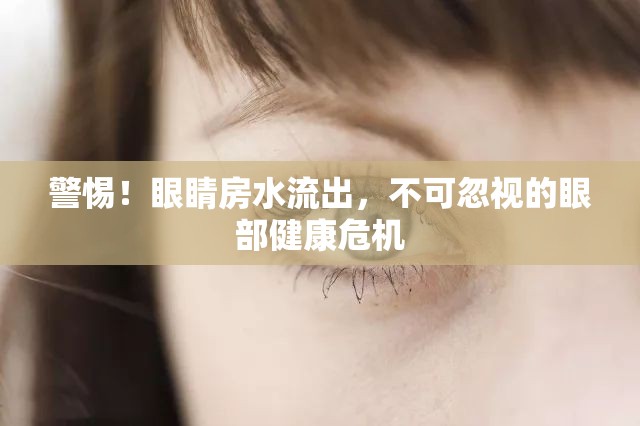 警惕！眼睛房水流出，不可忽視的眼部健康危機(jī)