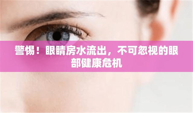 警惕！眼睛房水流出，不可忽視的眼部健康危機(jī)