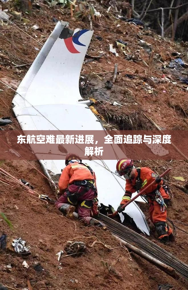 東航空難最新進展，全面追蹤與深度解析