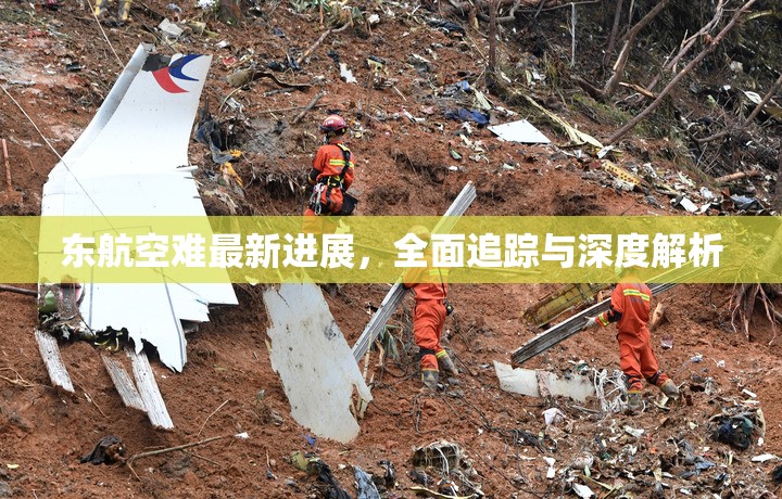 東航空難最新進展，全面追蹤與深度解析