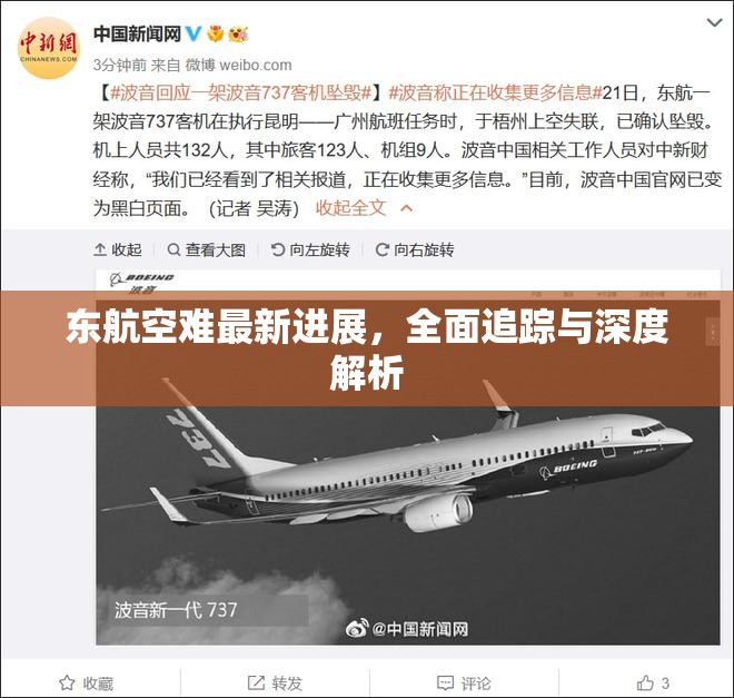 東航空難最新進展，全面追蹤與深度解析