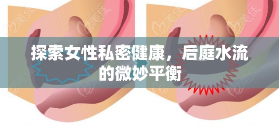 探索女性私密健康，后庭水流的微妙平衡