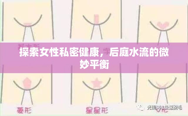 探索女性私密健康，后庭水流的微妙平衡