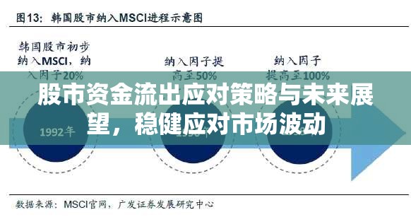 股市資金流出應(yīng)對策略與未來展望，穩(wěn)健應(yīng)對市場波動