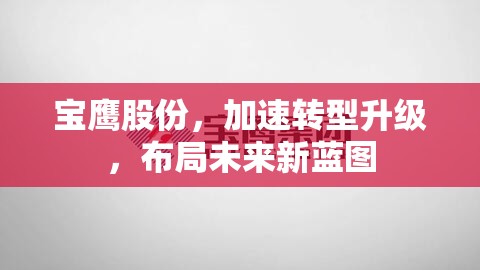 寶鷹股份，加速轉(zhuǎn)型升級，布局未來新藍(lán)圖
