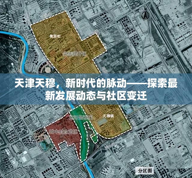 天津天穆，新時代的脈動——探索最新發(fā)展動態(tài)與社區(qū)變遷