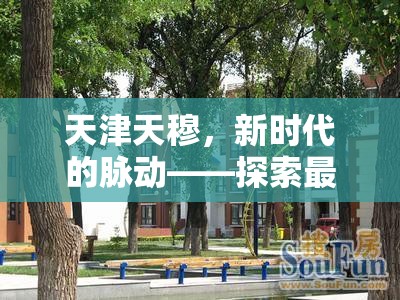 天津天穆，新時代的脈動——探索最新發(fā)展動態(tài)與社區(qū)變遷