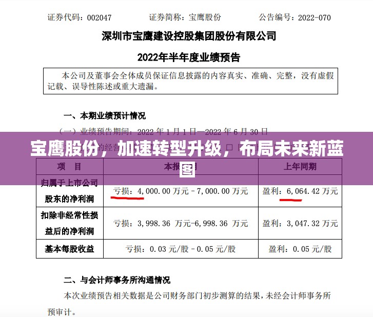 寶鷹股份，加速轉(zhuǎn)型升級，布局未來新藍(lán)圖