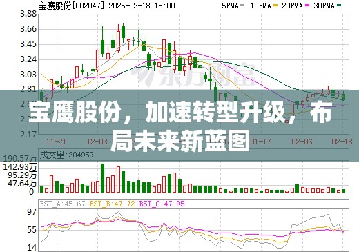 寶鷹股份，加速轉(zhuǎn)型升級，布局未來新藍(lán)圖