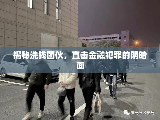 揭秘洗錢團伙，直擊金融犯罪的陰暗面