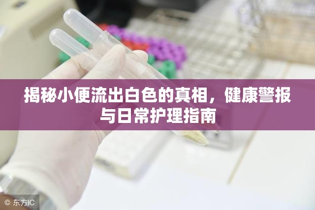 揭秘小便流出白色的真相，健康警報(bào)與日常護(hù)理指南