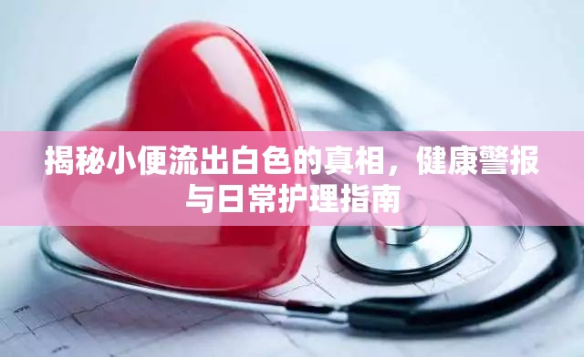 揭秘小便流出白色的真相，健康警報(bào)與日常護(hù)理指南