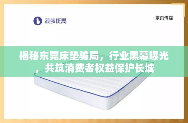 揭秘東莞床墊騙局，行業(yè)黑幕曝光，共筑消費(fèi)者權(quán)益保護(hù)長(zhǎng)城