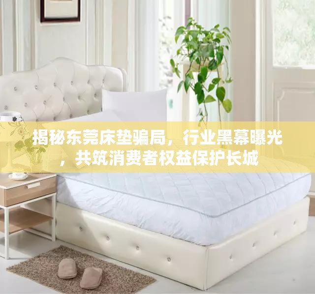 揭秘東莞床墊騙局，行業(yè)黑幕曝光，共筑消費(fèi)者權(quán)益保護(hù)長(zhǎng)城