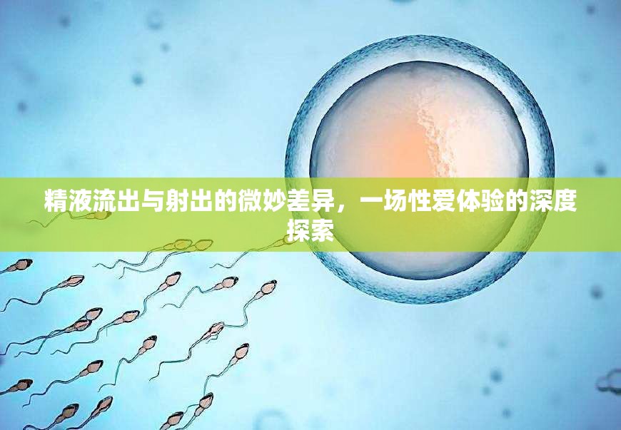 精液流出與射出的微妙差異，一場性愛體驗的深度探索