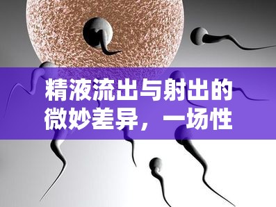 精液流出與射出的微妙差異，一場性愛體驗的深度探索