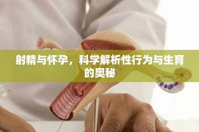射精與懷孕，科學(xué)解析性行為與生育的奧秘