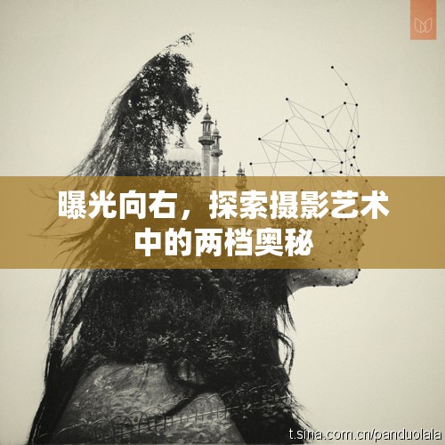 曝光向右，探索攝影藝術(shù)中的兩檔奧秘