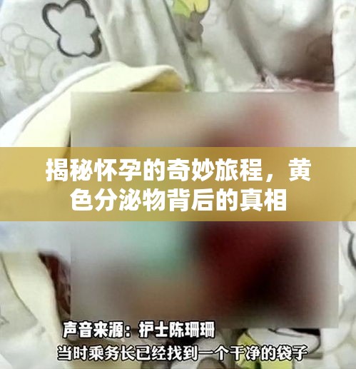 揭秘懷孕的奇妙旅程，黃色分泌物背后的真相