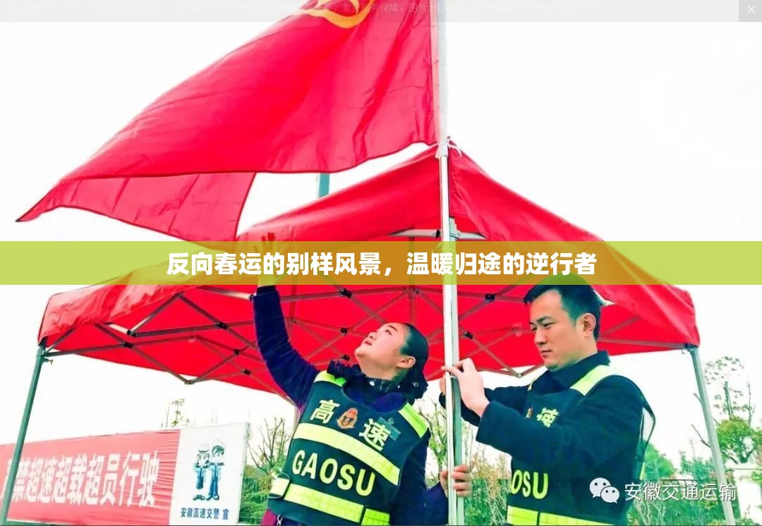 反向春運的別樣風(fēng)景，溫暖歸途的逆行者