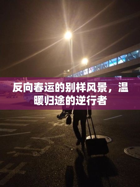 反向春運的別樣風(fēng)景，溫暖歸途的逆行者