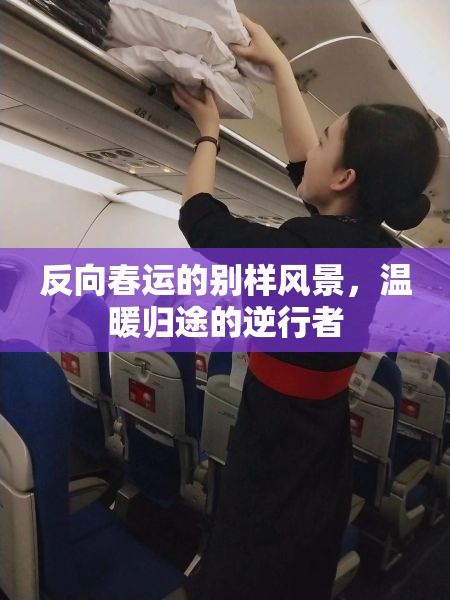 反向春運的別樣風(fēng)景，溫暖歸途的逆行者