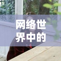 網(wǎng)絡世界中的真實碰撞，女主播的魅力與真人頭像照片