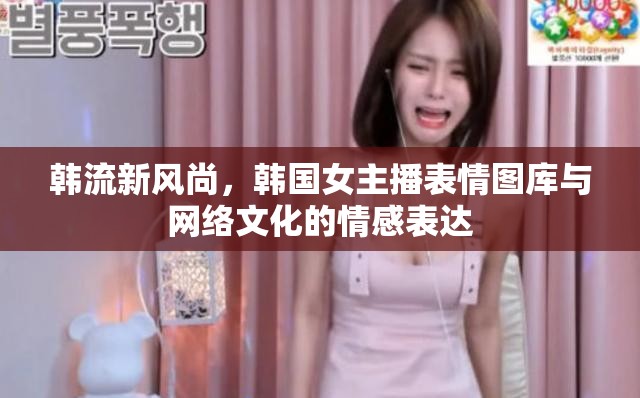 韓流新風(fēng)尚，韓國女主播表情圖庫與網(wǎng)絡(luò)文化的情感表達(dá)