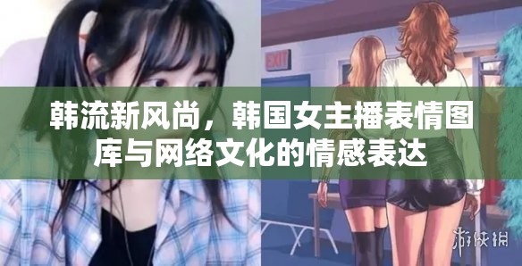 韓流新風(fēng)尚，韓國女主播表情圖庫與網(wǎng)絡(luò)文化的情感表達(dá)