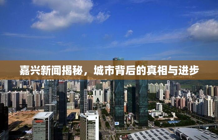 嘉興新聞揭秘，城市背后的真相與進步